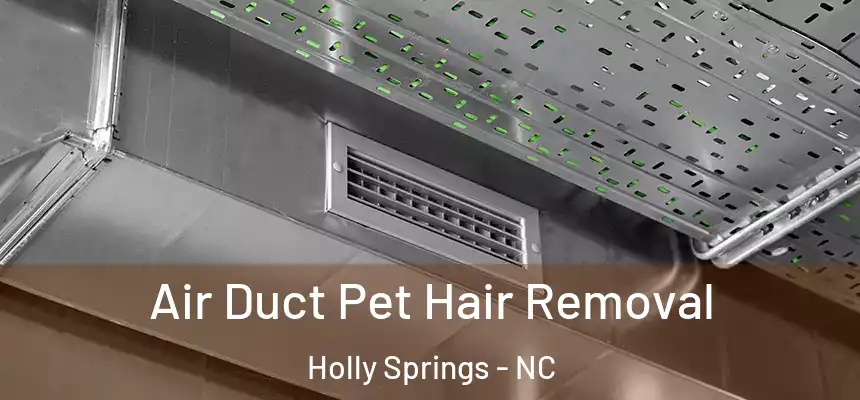  Air Duct Pet Hair Removal Holly Springs - NC