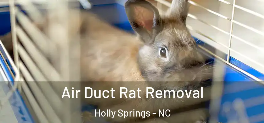  Air Duct Rat Removal Holly Springs - NC