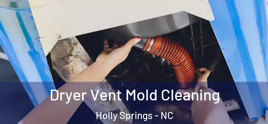  Dryer Vent Mold Cleaning Holly Springs - NC