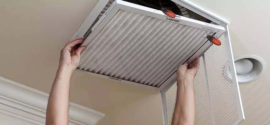 Preventive Cockroach-Proofing for Ducts in Holly Springs