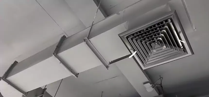 Our Pest Removal From Ducts Services in Holly Springs, NC