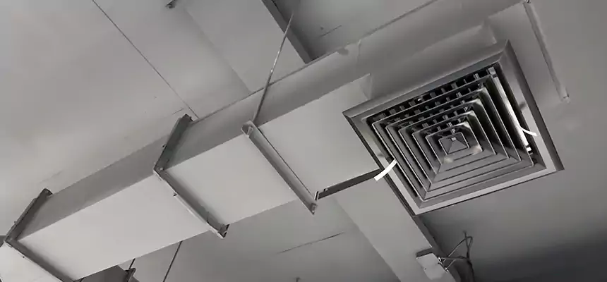 Our Rodent Droppings In Vents Services in Holly Springs, NC