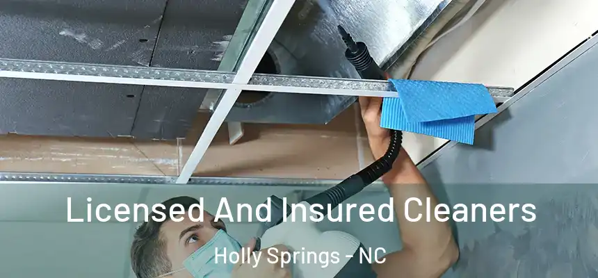  Licensed And Insured Cleaners Holly Springs - NC
