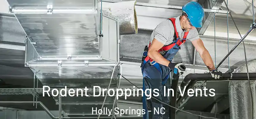  Rodent Droppings In Vents Holly Springs - NC
