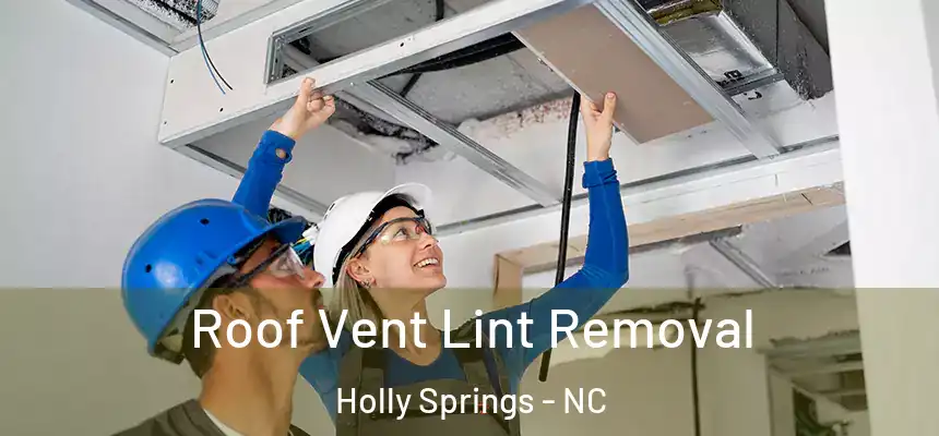  Roof Vent Lint Removal Holly Springs - NC
