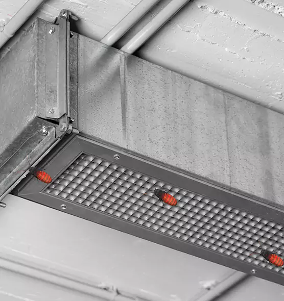 About Air Duct Cockroach Removal in Holly Springs, NC