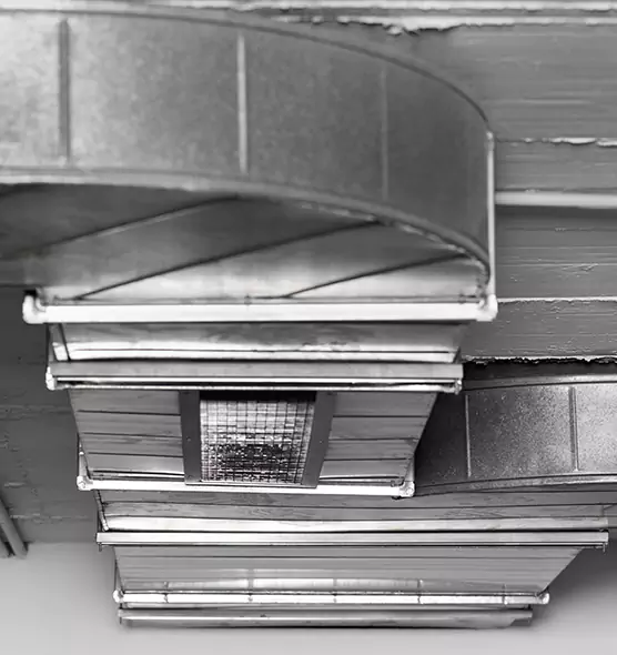 Professional Air Duct Pest Removal in Holly Springs, NC