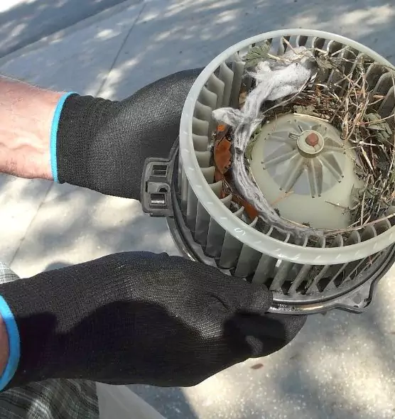 About Air Duct Rat Removal in Holly Springs, NC