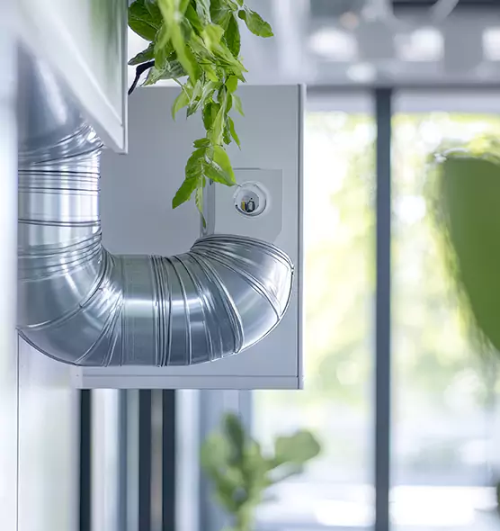 Professional Eco-Safe Dryer Vent Cleaning in Holly Springs, NC