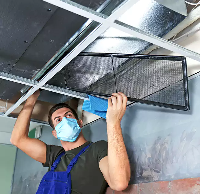 Why Homeowners Businesses Trust Us in Holly Springs, NC