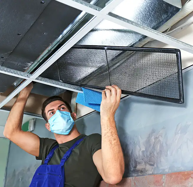 Why Homeowners & Businesses Trust Us in Holly Springs, NC?