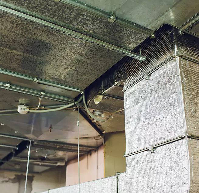 Why Homeowners & Businesses Trust Us in Holly Springs, NC?